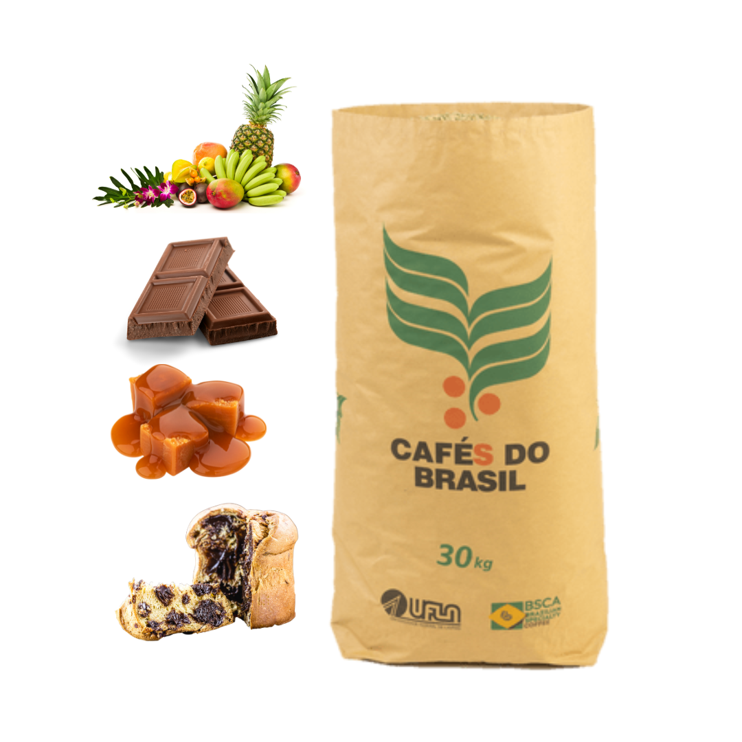 Tropical (30 Kg) - Tropical fruits, caramel, chocolate, cajamanga, panettone (Catucaí) 